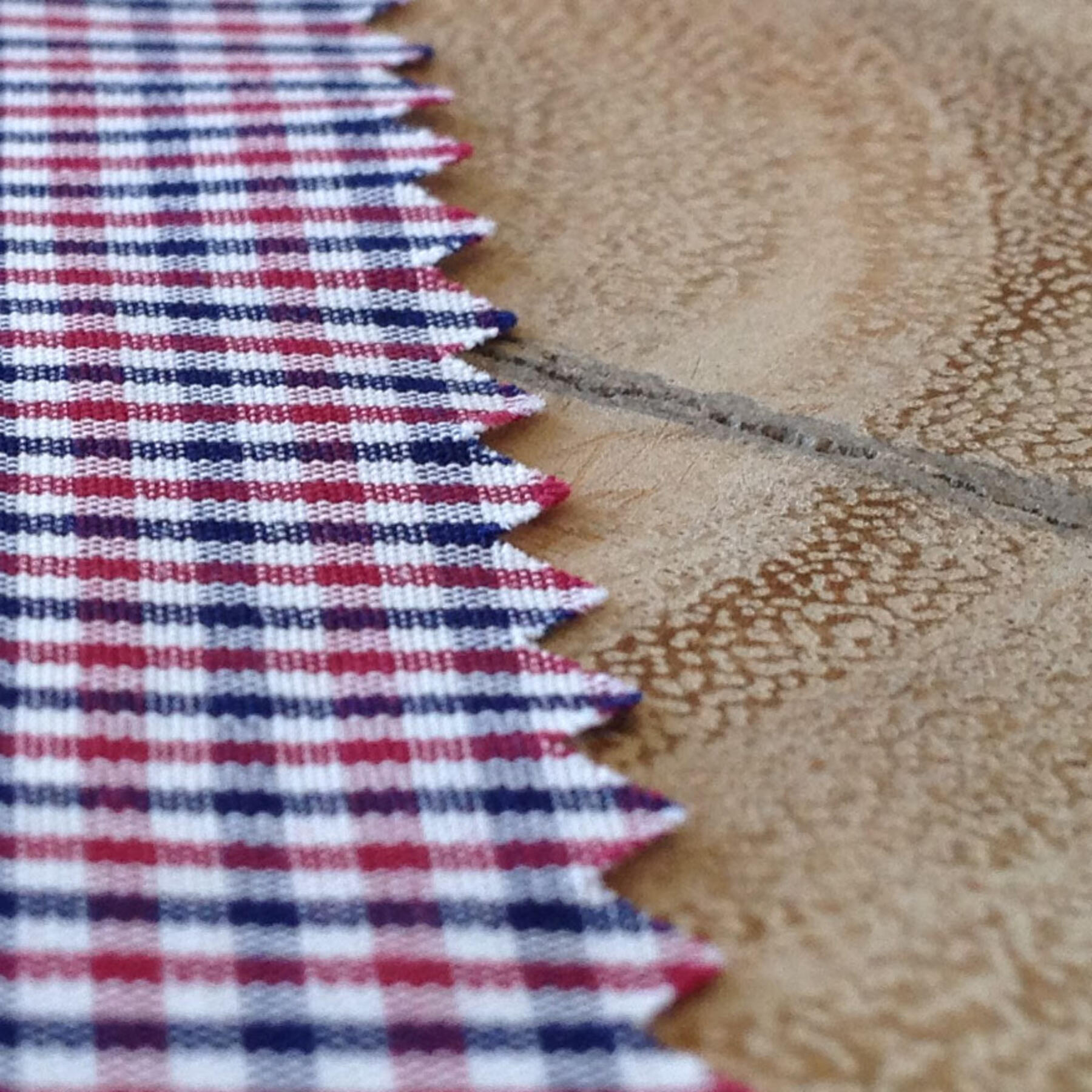 gustin #11 red-navy gingham