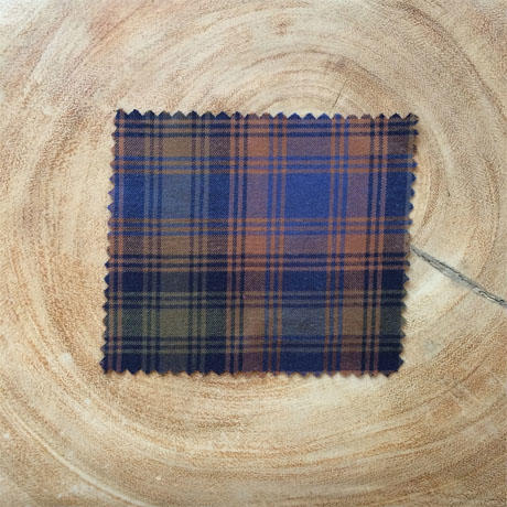 gustin #17 blue rust flannel