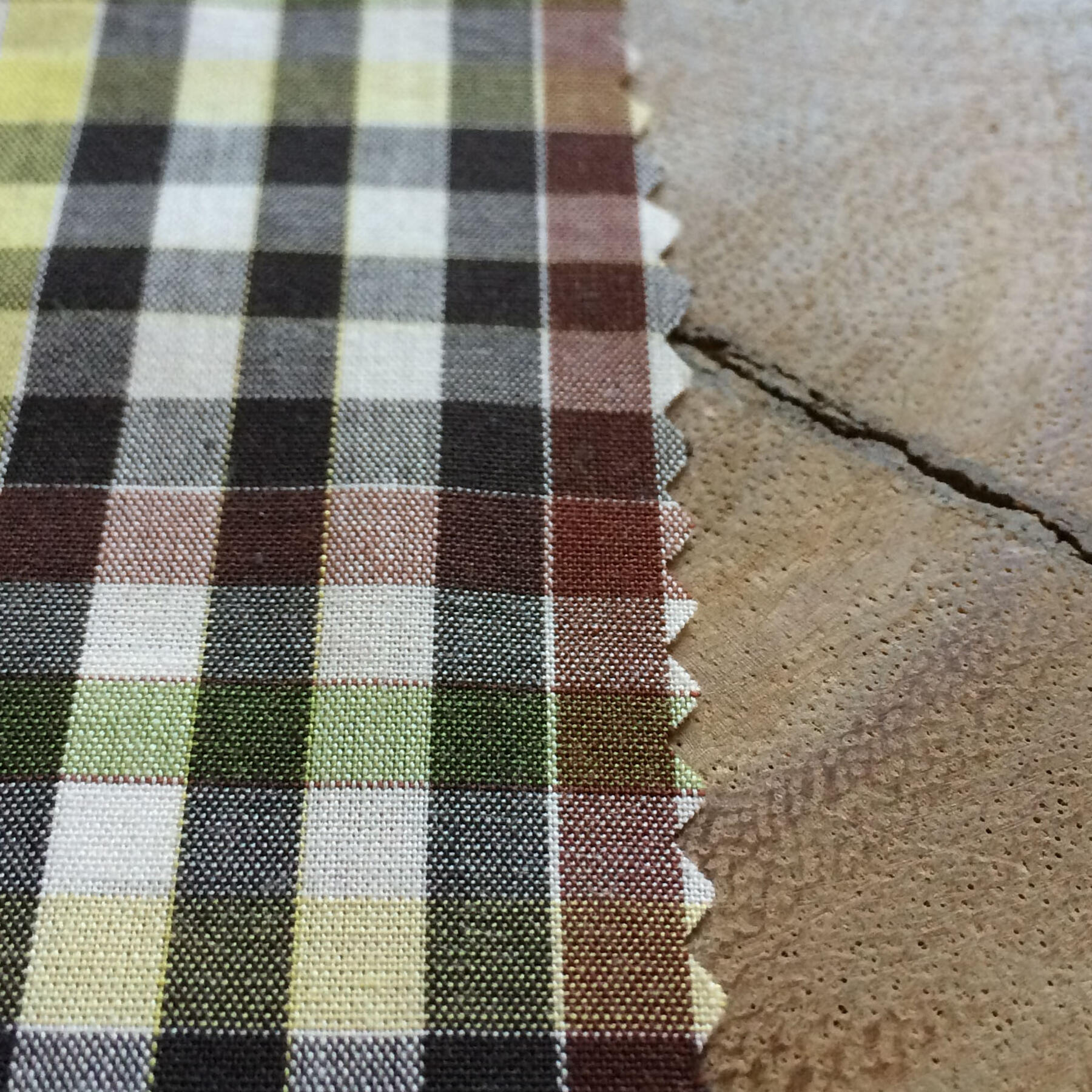 gustin #55 moss brown check