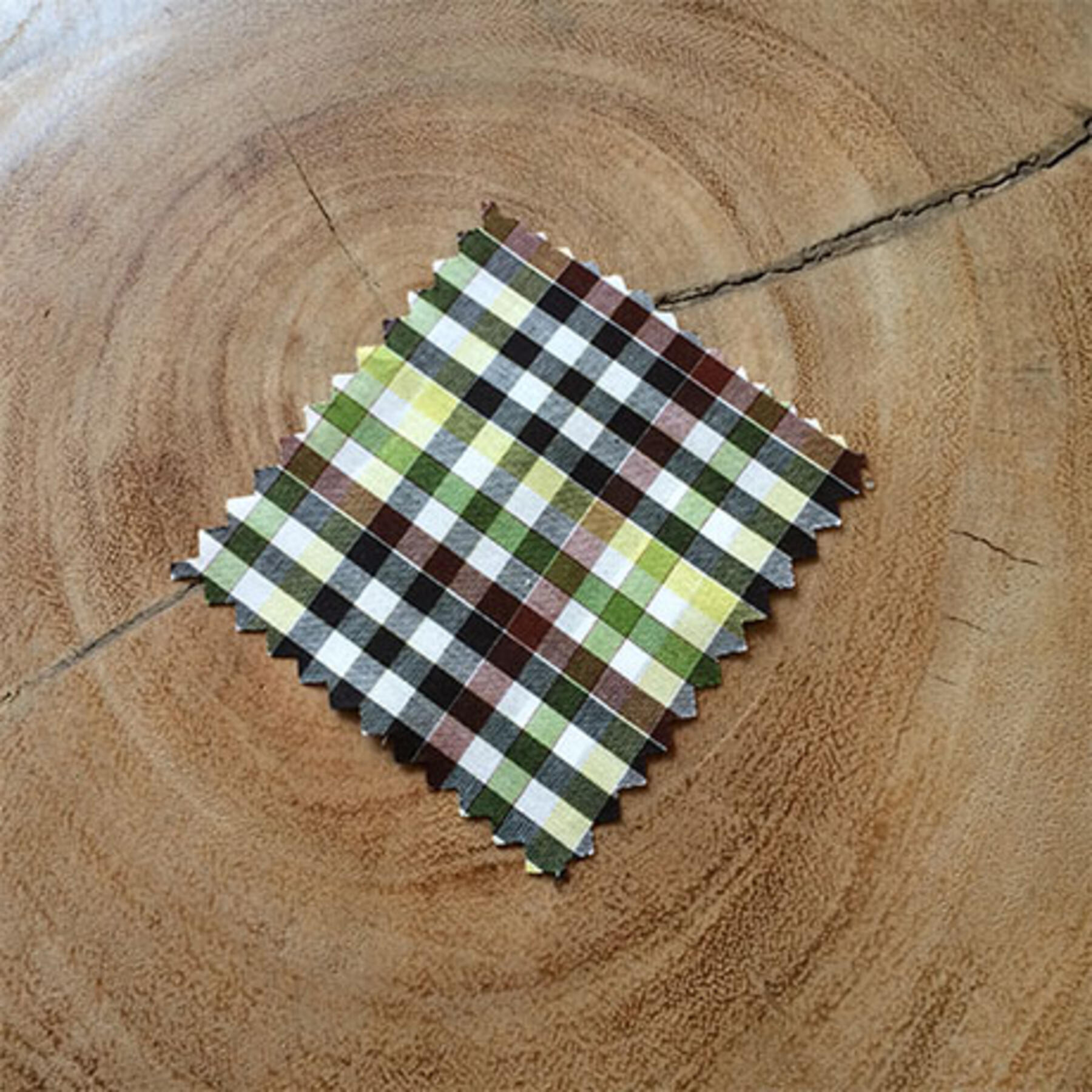 gustin #55 moss brown check