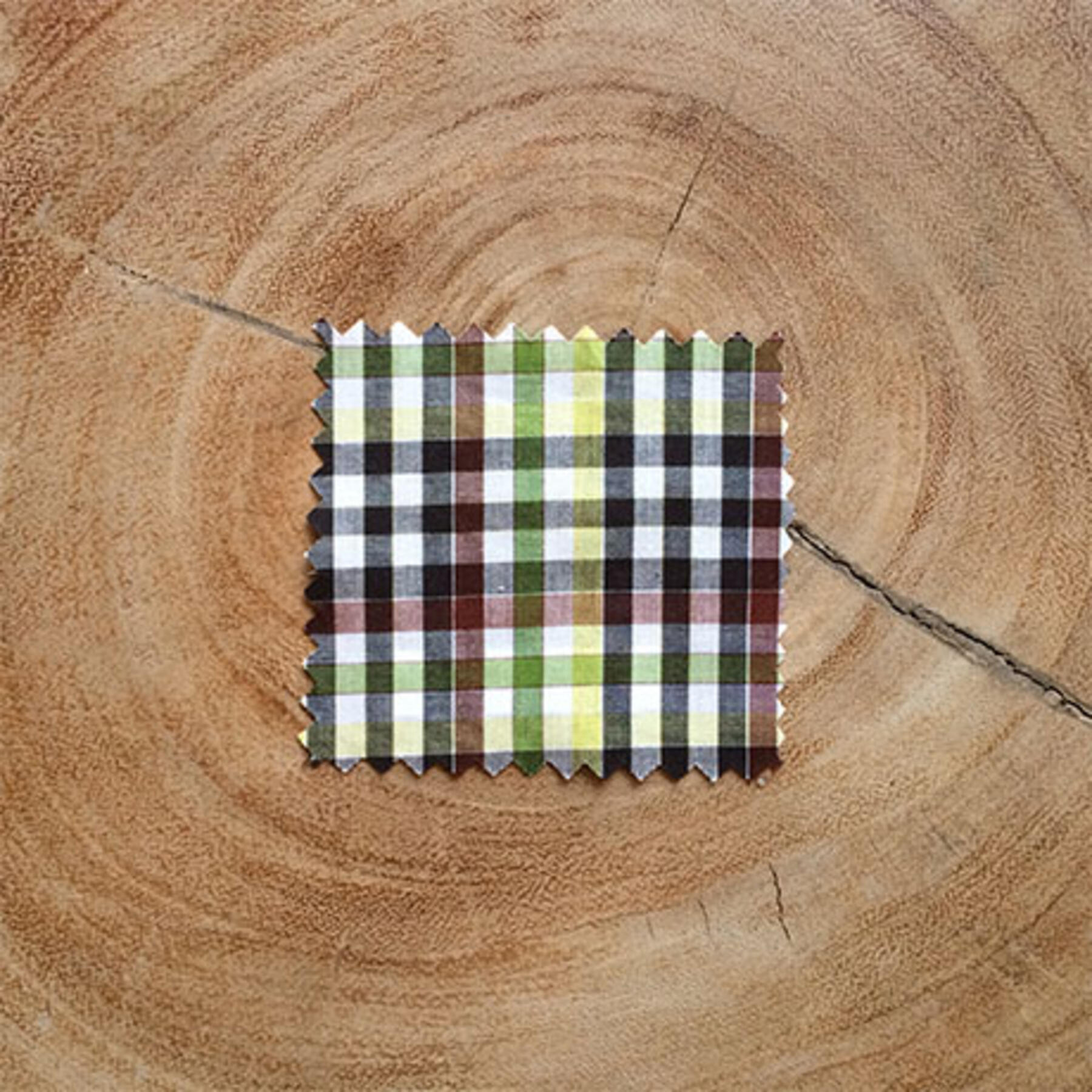 gustin #55 moss brown check