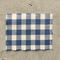 gustin indigo gingham flannel