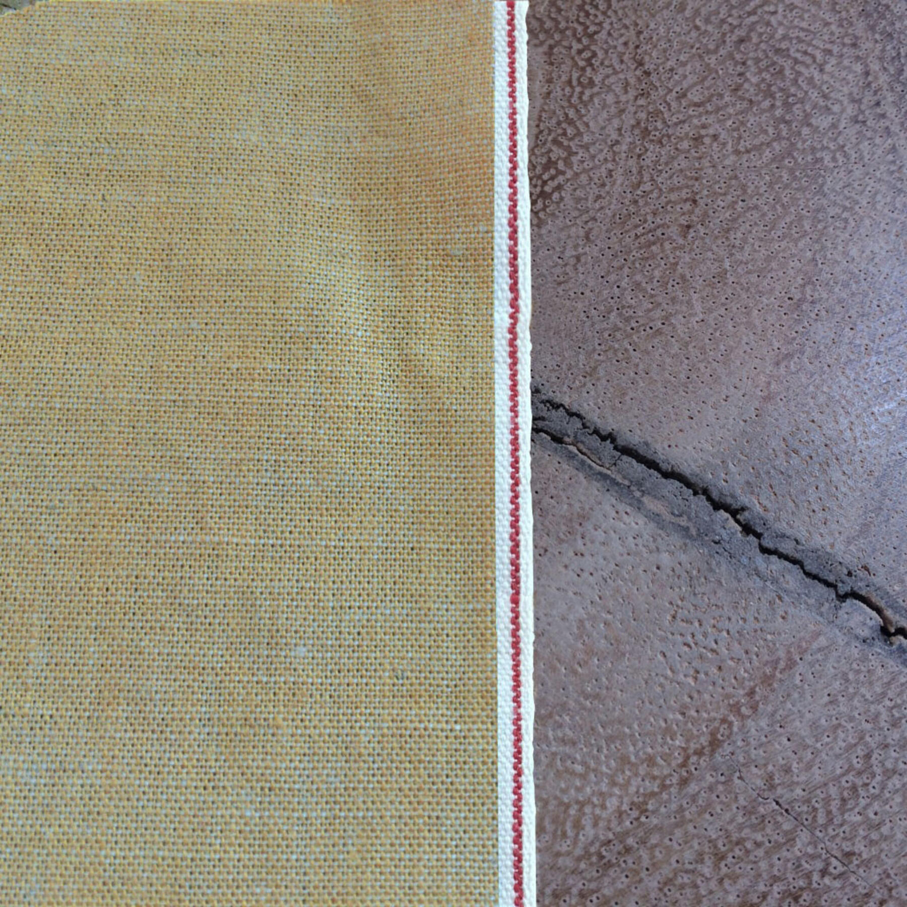gustin mustard summer chambray