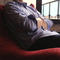 gustin #223 electric plaid
