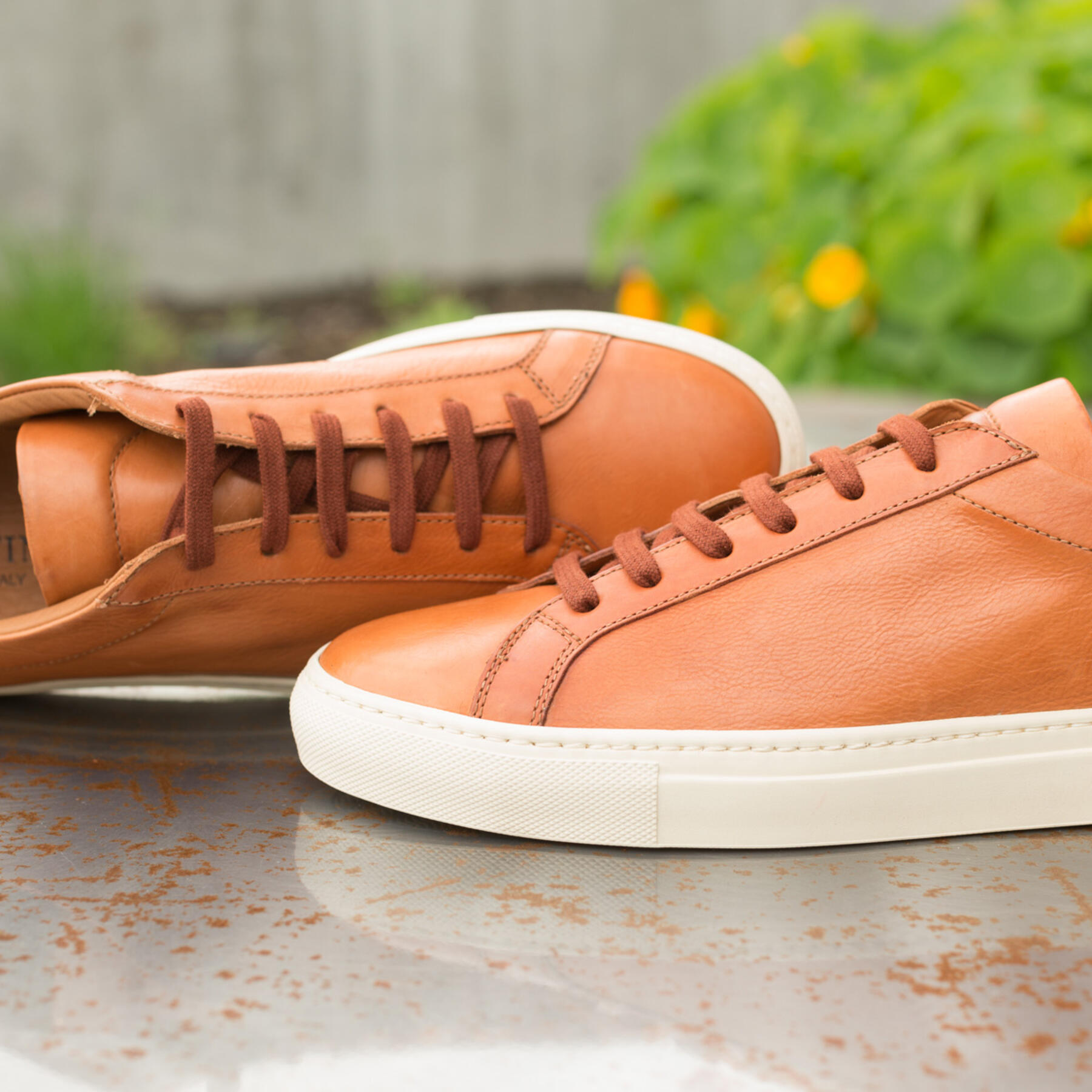 gustin sienna low top