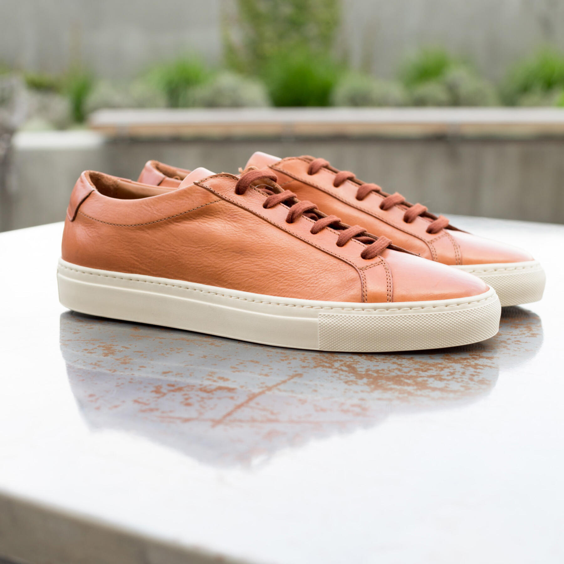 gustin sienna low top