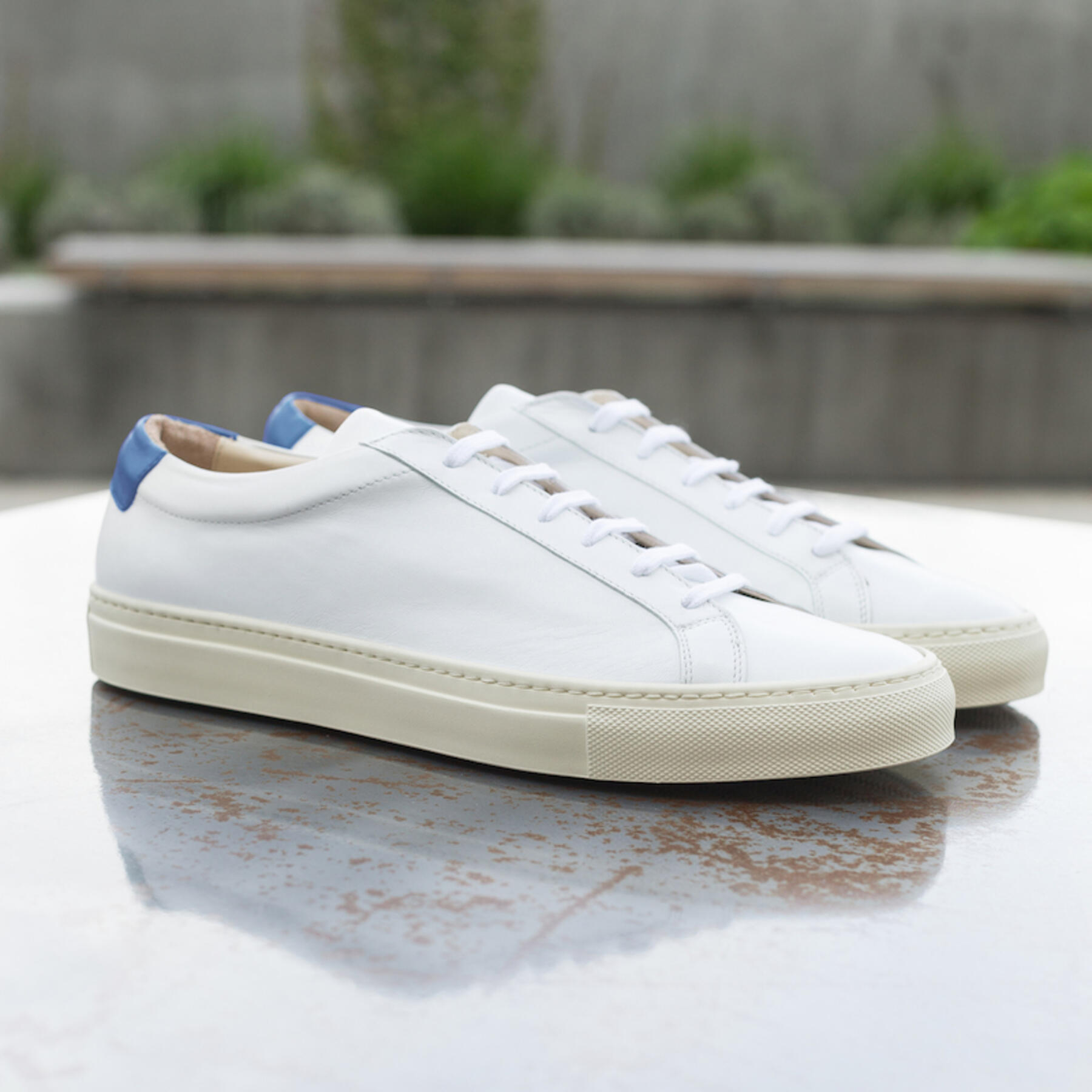 gustin white-blue low top