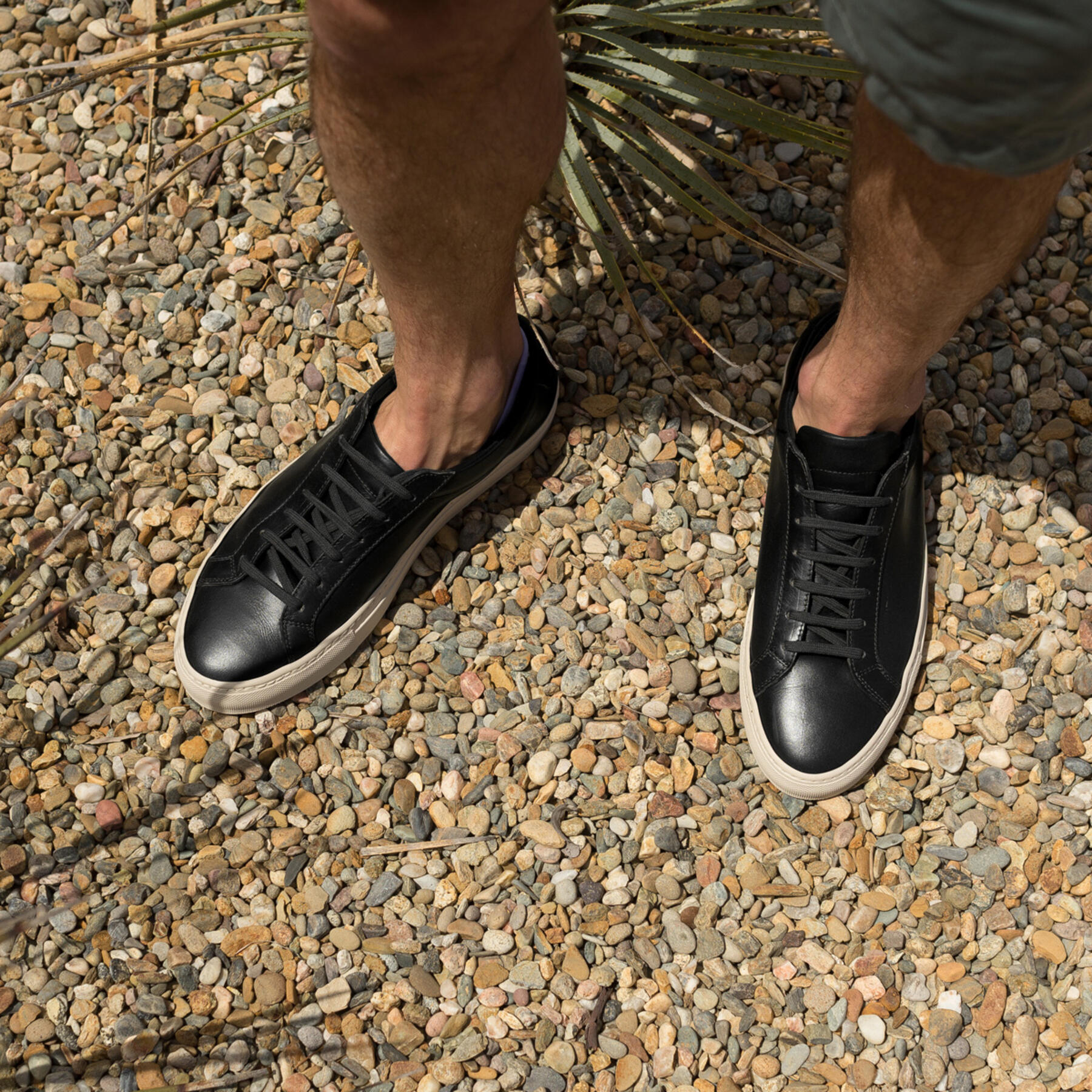 gustin black low top
