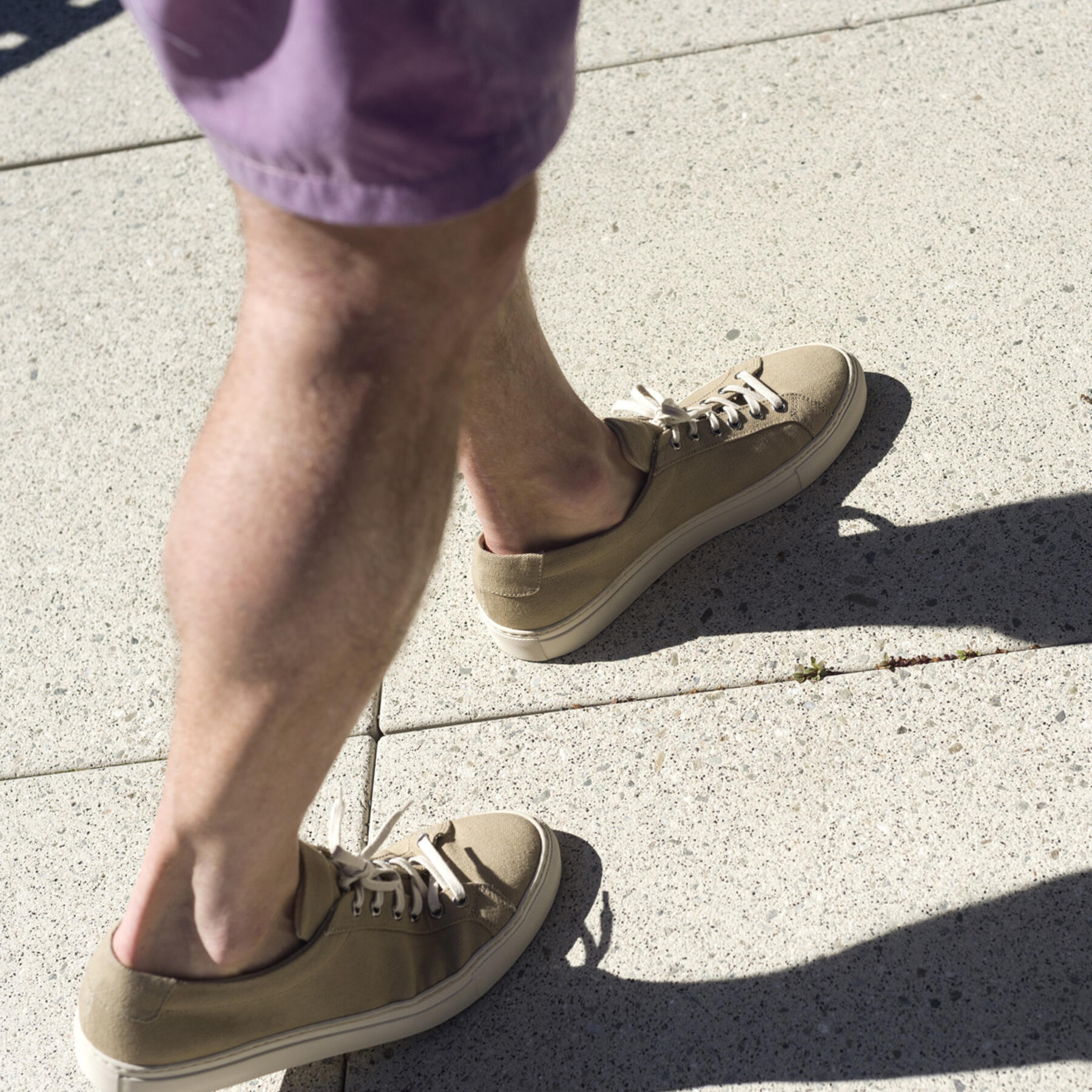 gustin desert canvas low top