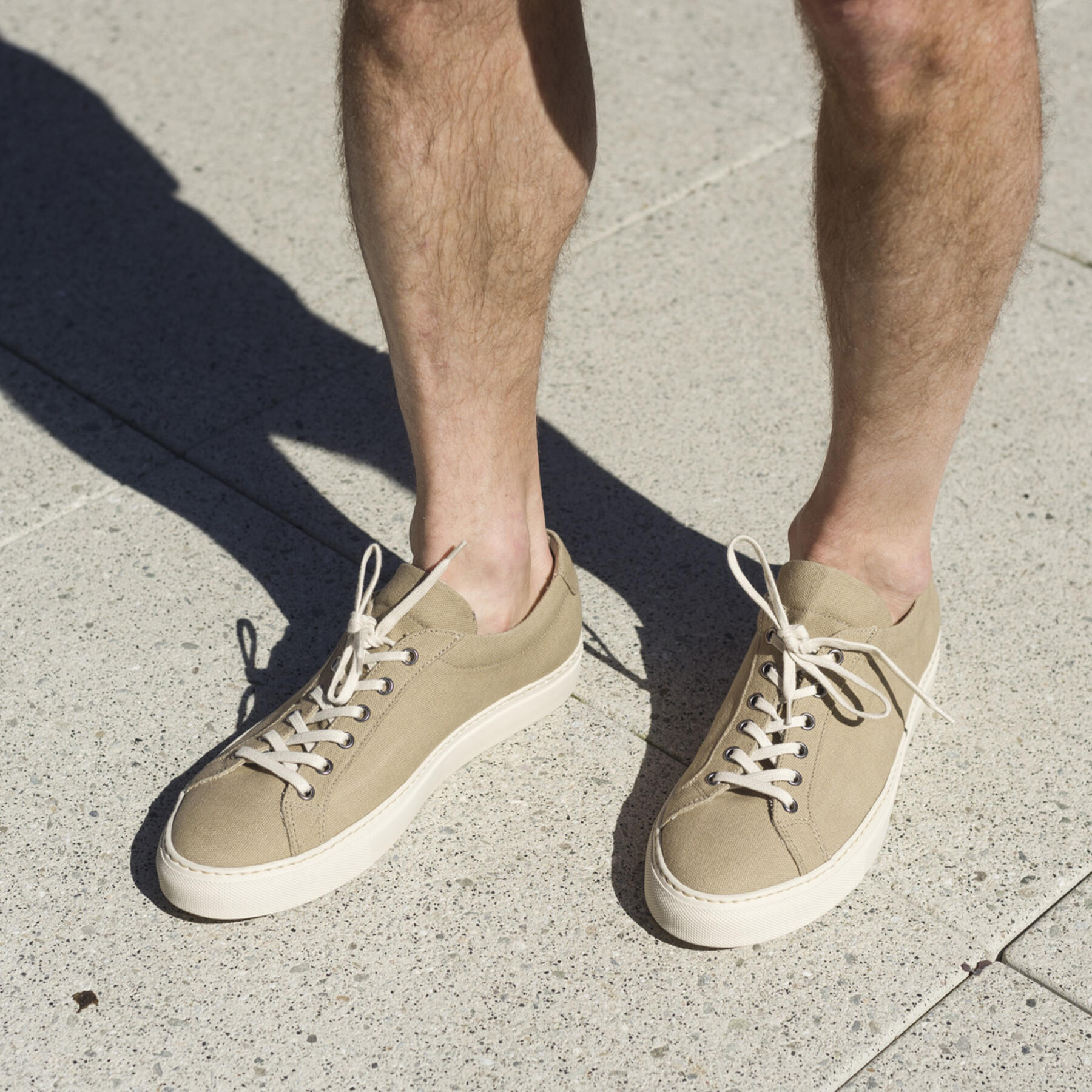 gustin desert canvas low top