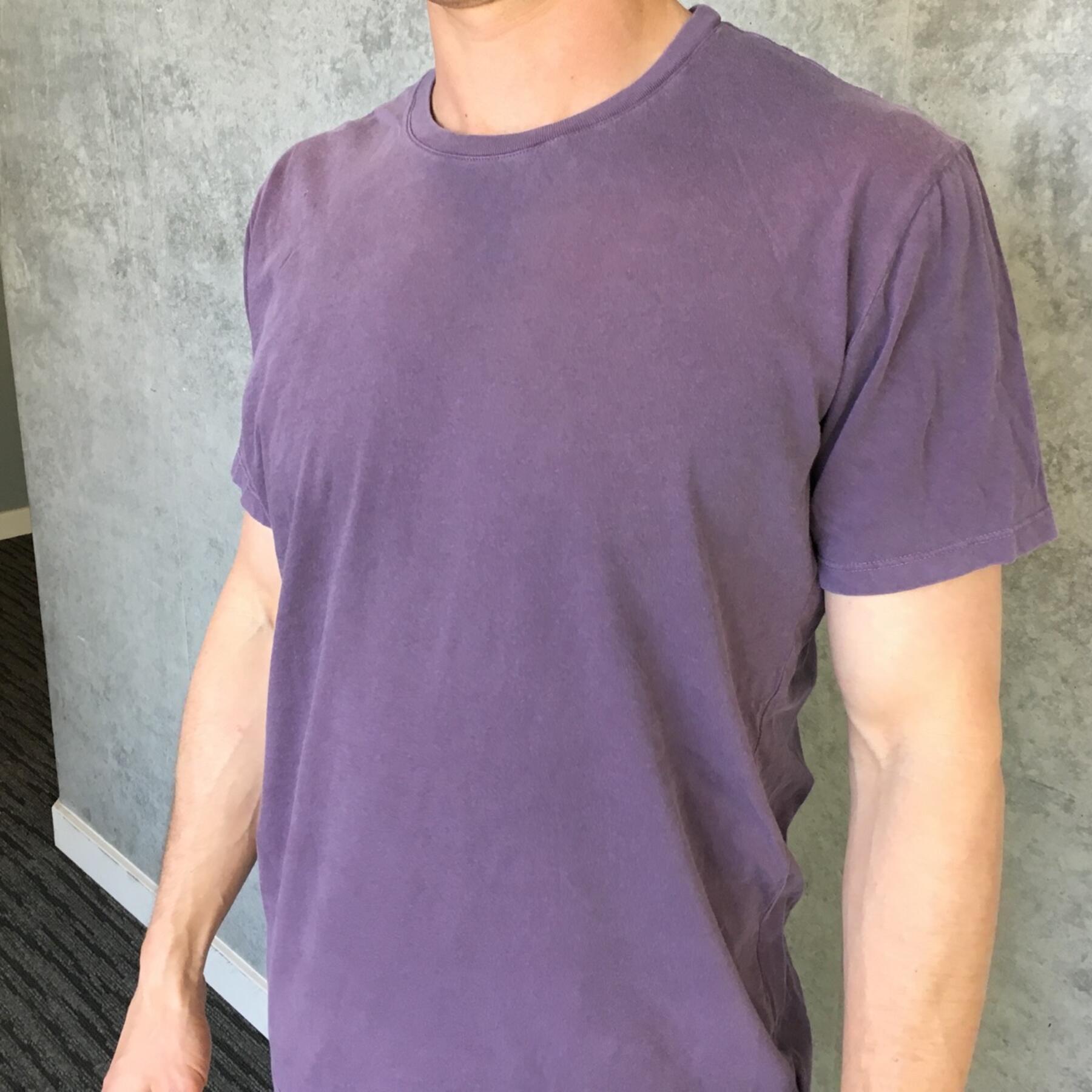 gustin pigment dyed t-shirt 3 pack (faded green, faded purple, camel)