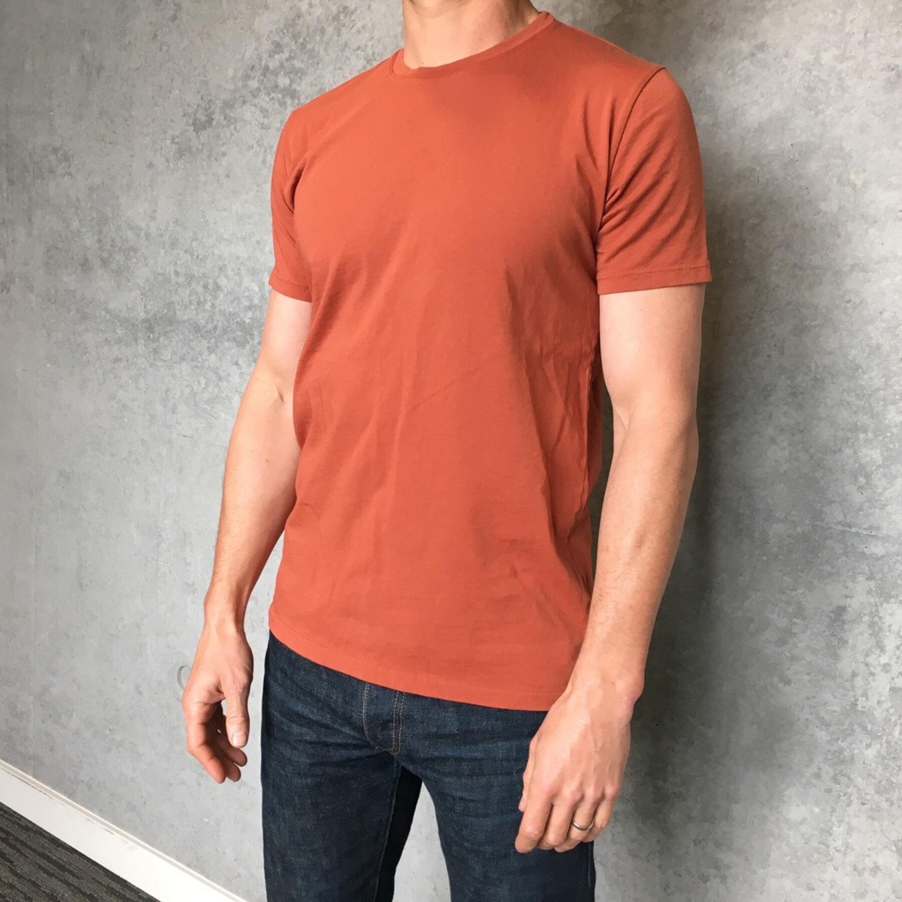gustin usa t-shirt 3pk (cypress green, iron oxide, paper)