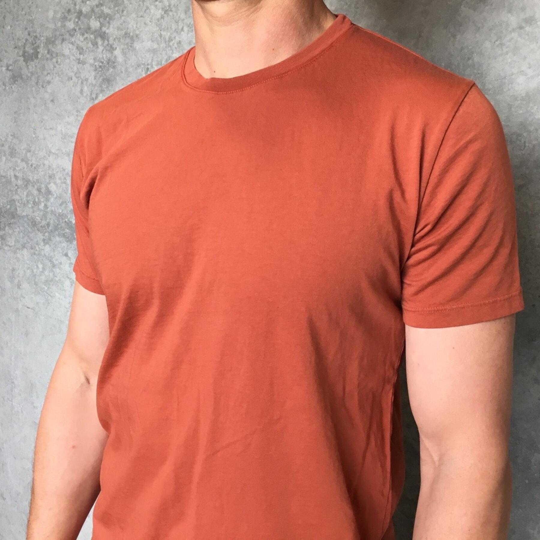 gustin usa t-shirt 3pk (cypress green, iron oxide, paper)