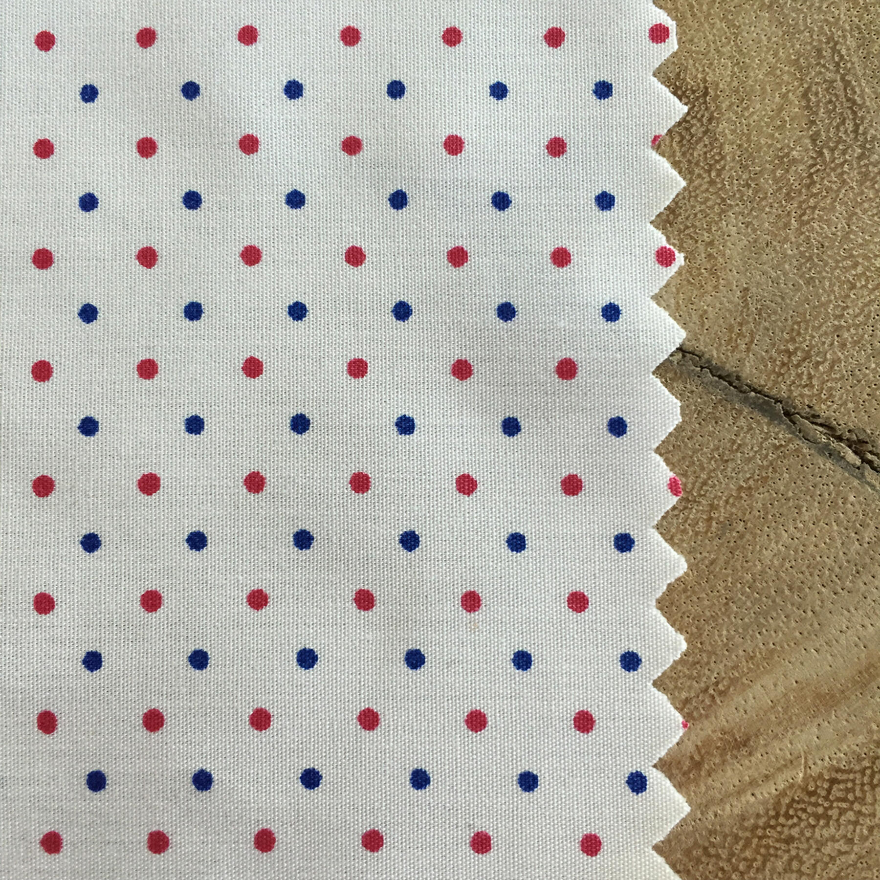 gustin short sleeve red & blue poplin polka dot