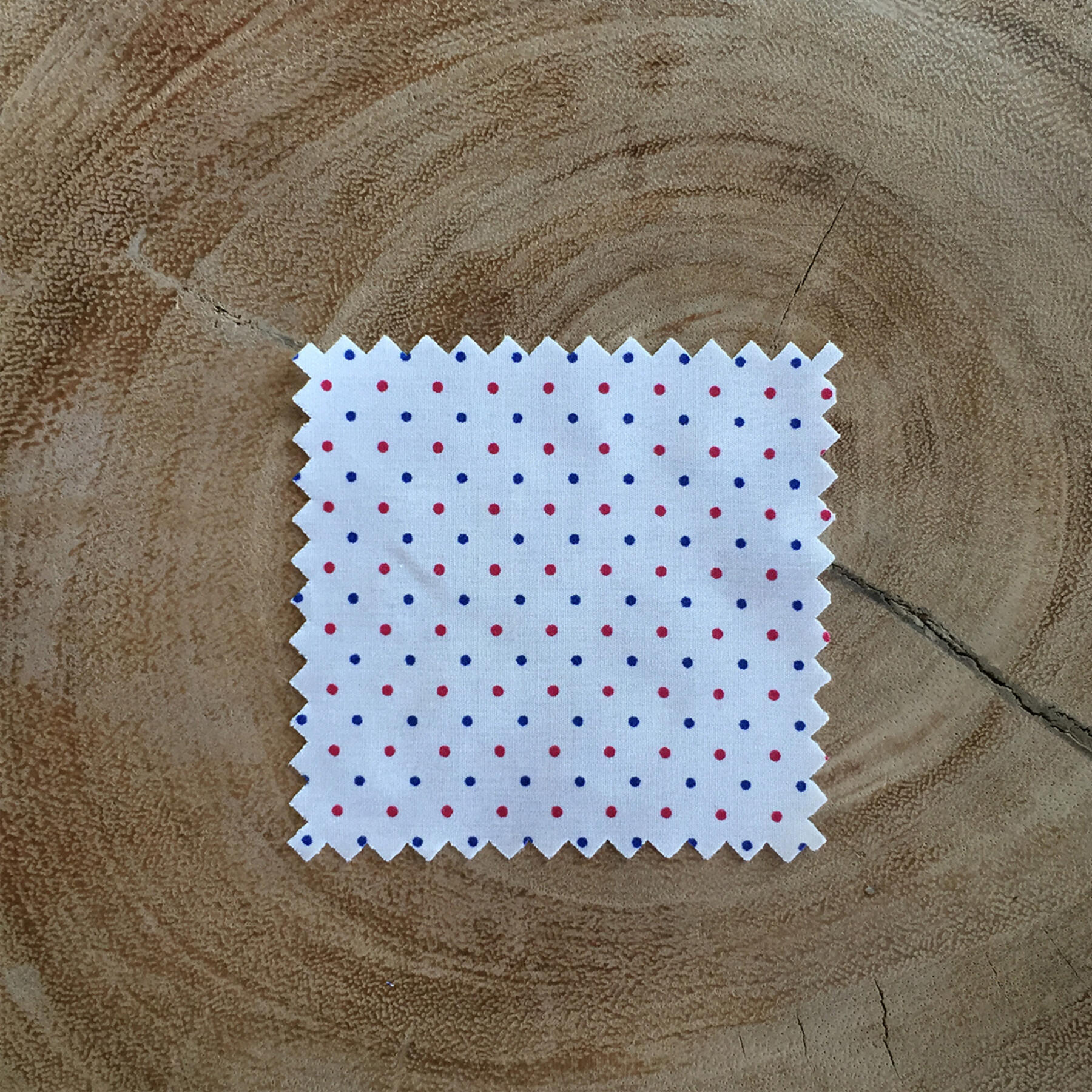 gustin short sleeve red & blue poplin polka dot