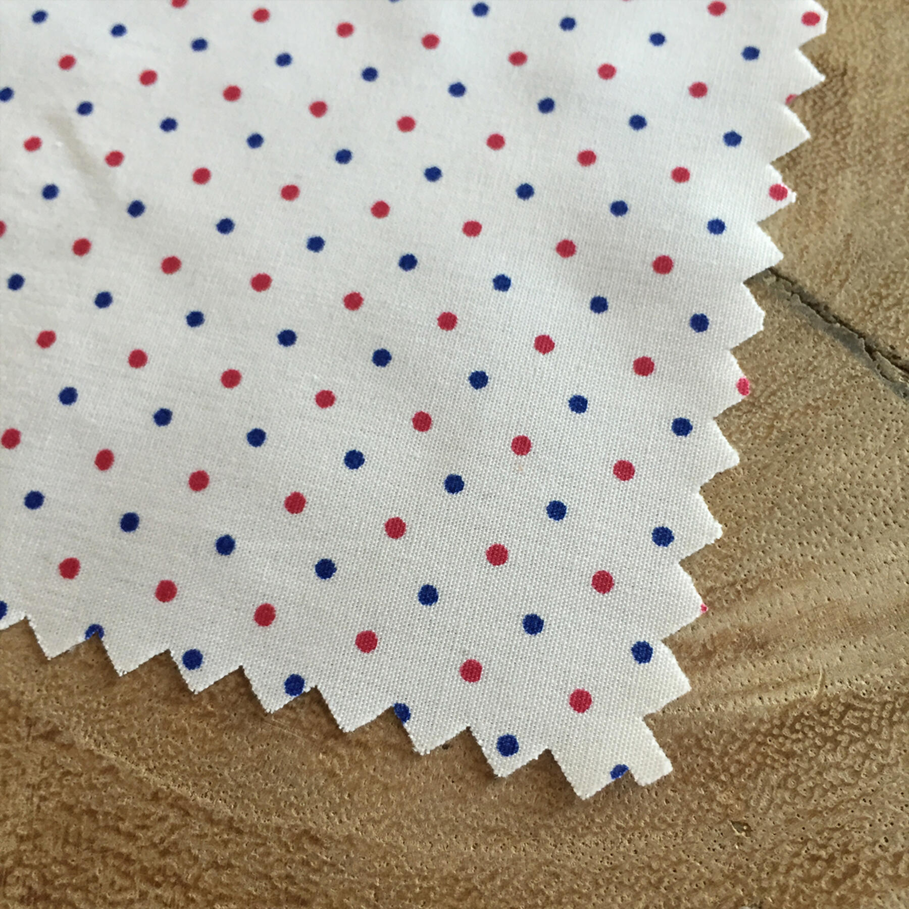 gustin short sleeve red & blue poplin polka dot