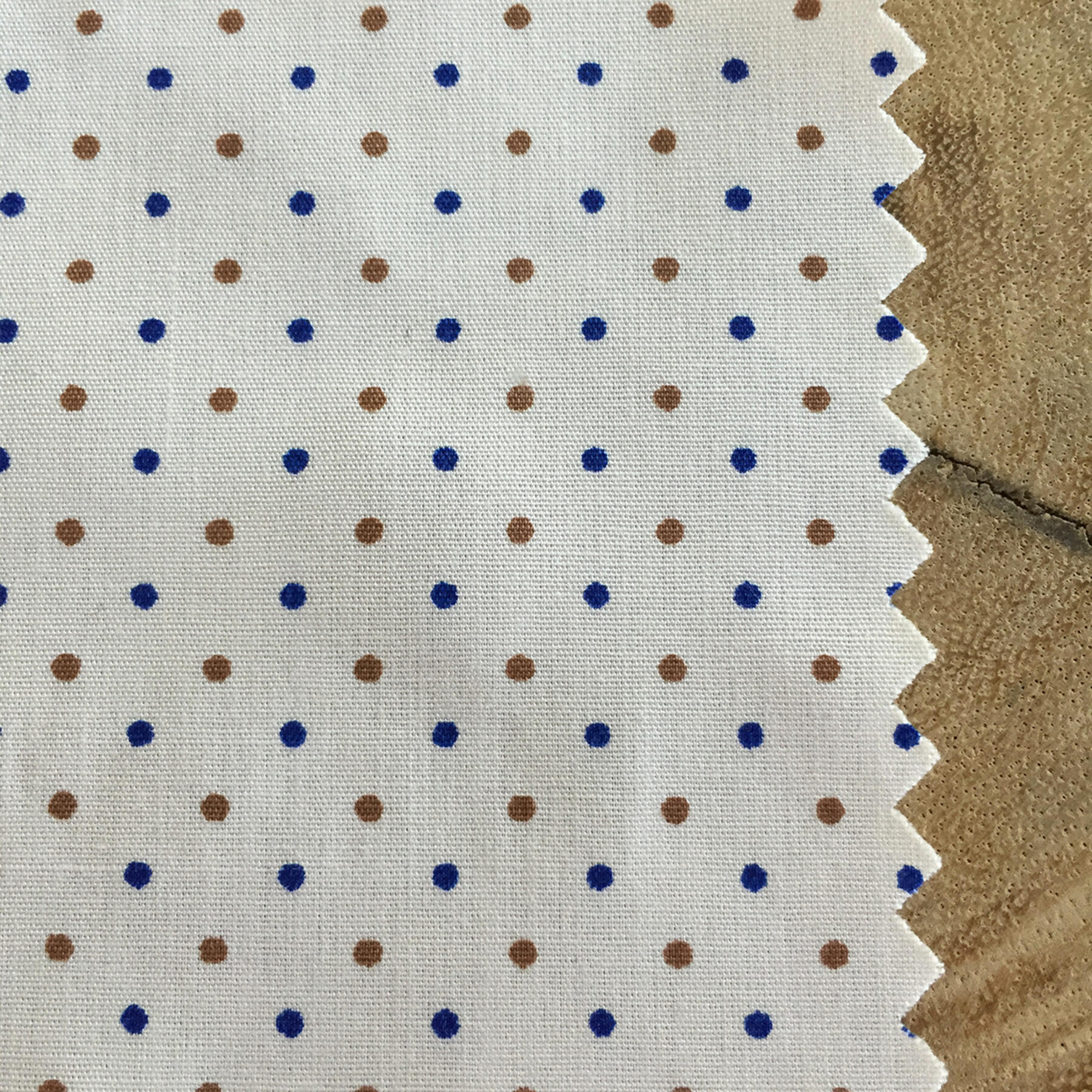 gustin short sleeve coffee & blue poplin polka dot