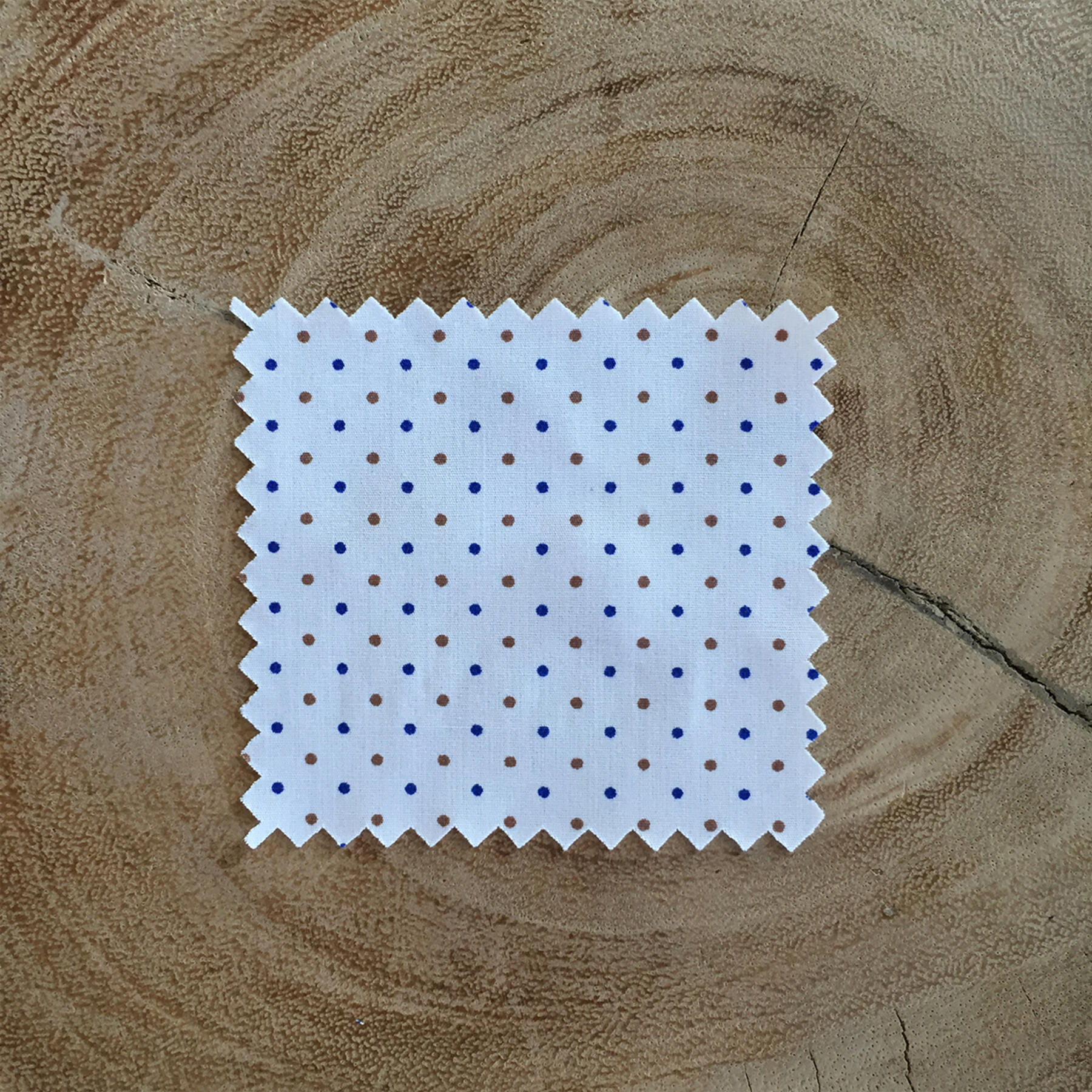 gustin short sleeve coffee & blue poplin polka dot
