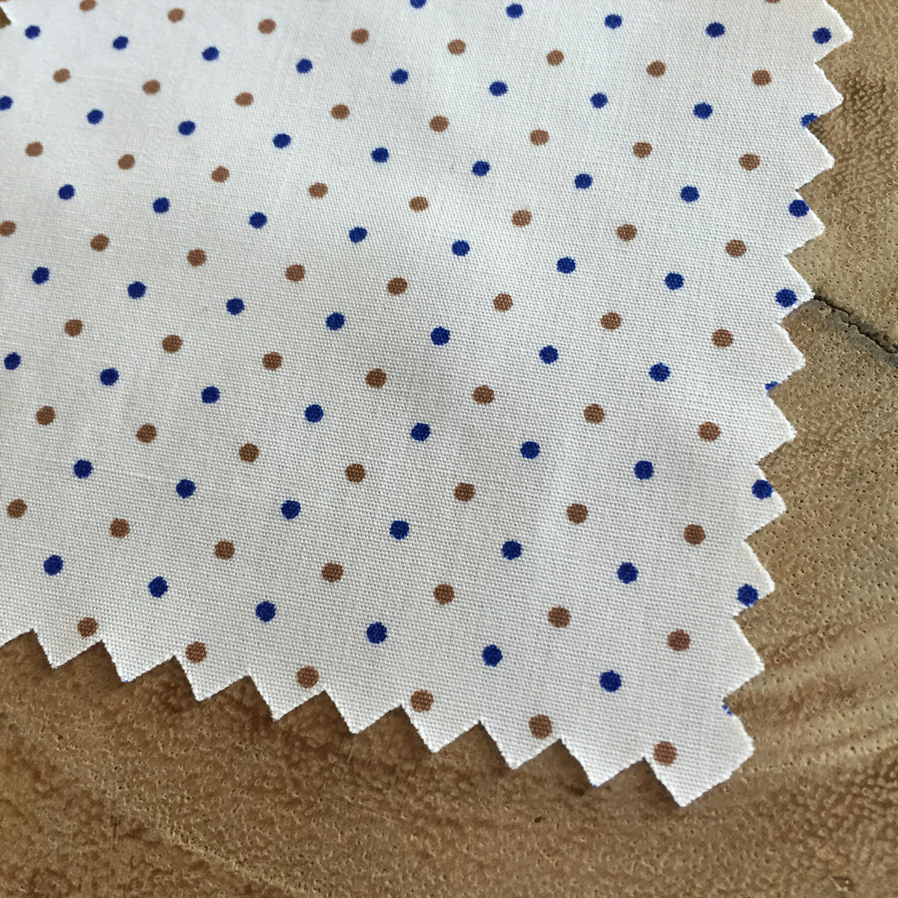 gustin short sleeve coffee & blue poplin polka dot