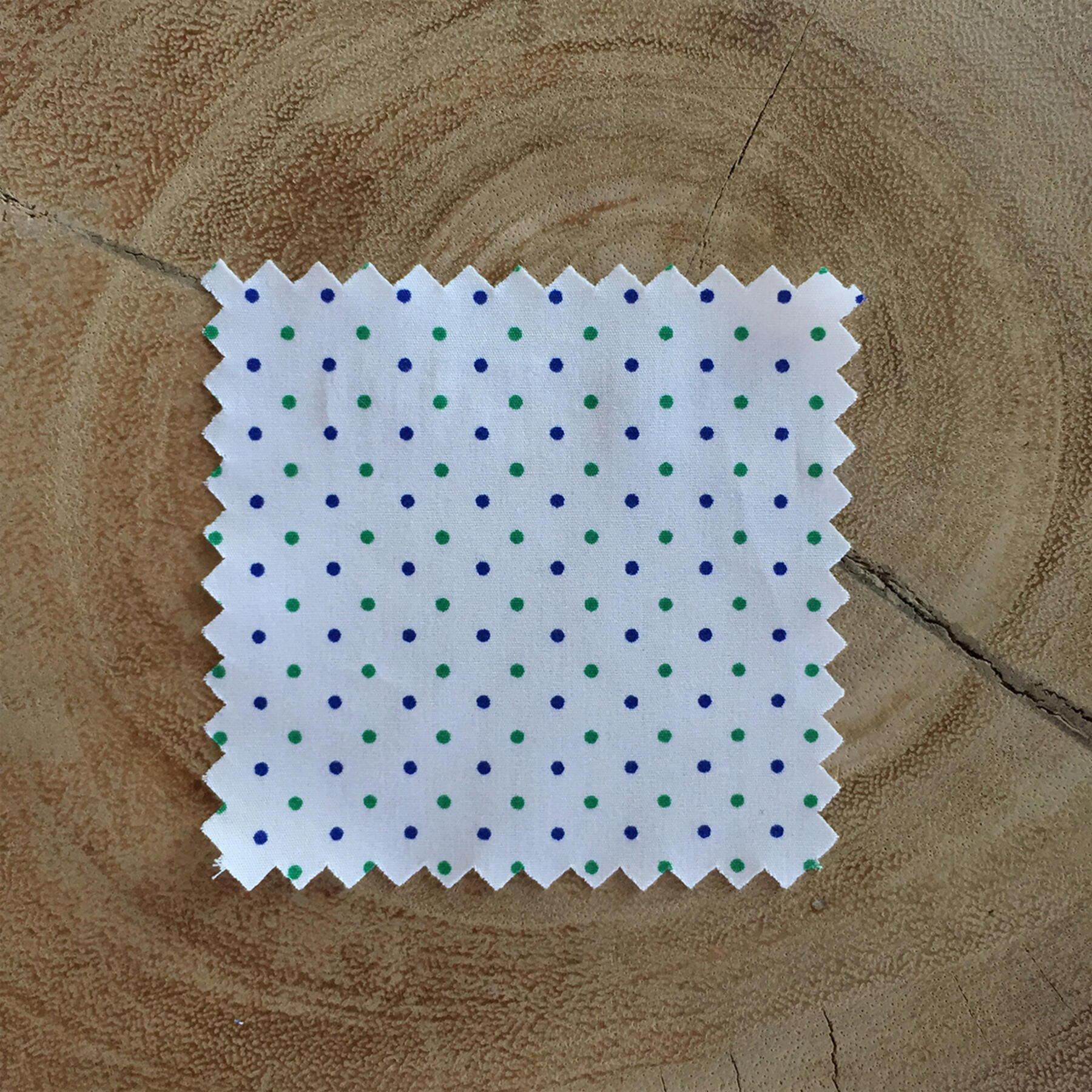 gustin short sleeve green & blue poplin polka dot