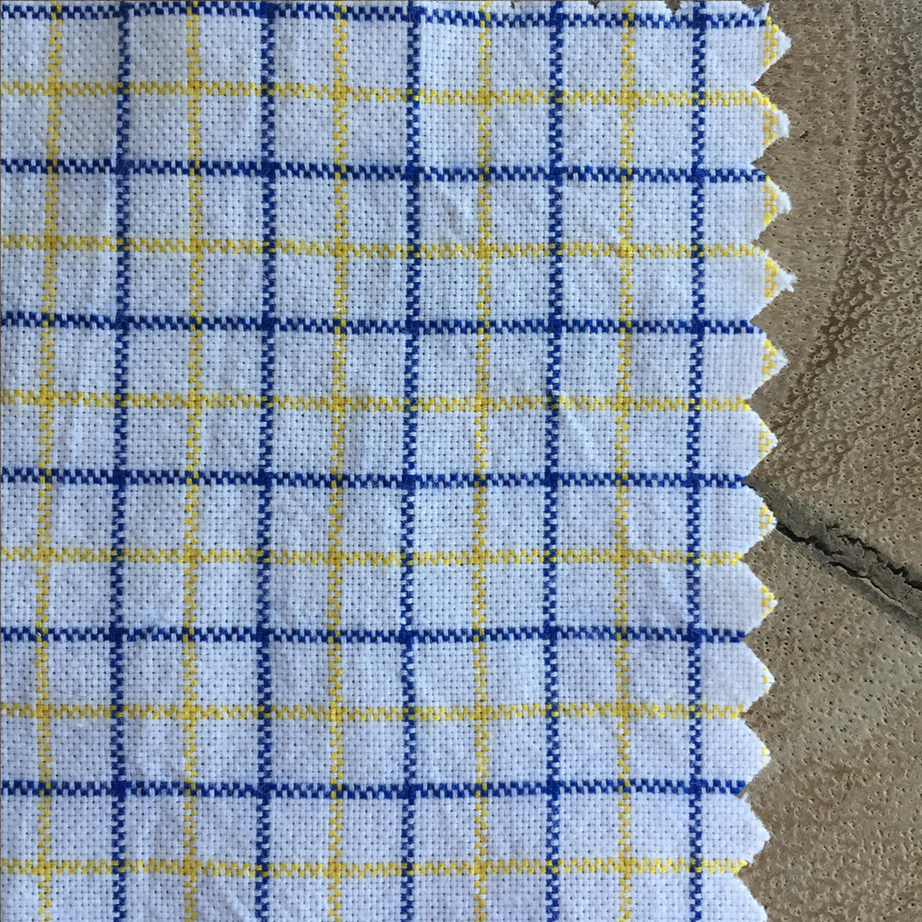 gustin navy maize poplin plaid