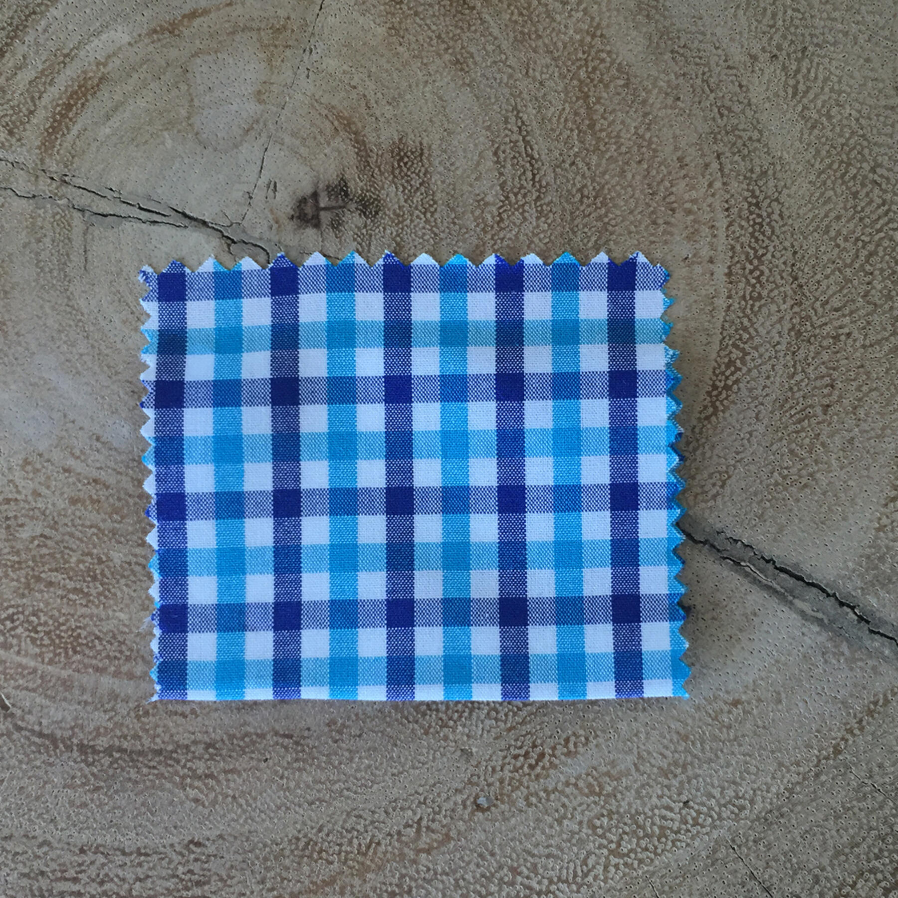 gustin turquoisexnavy poplin check