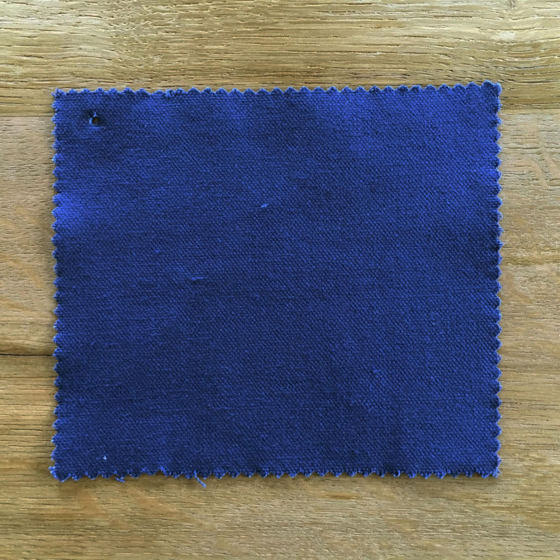 gustin #83 bright blue duck canvas chino