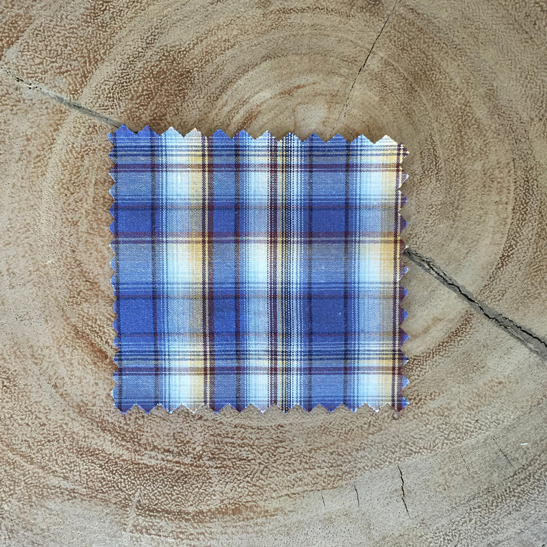 gustin periwinkle poplin plaid