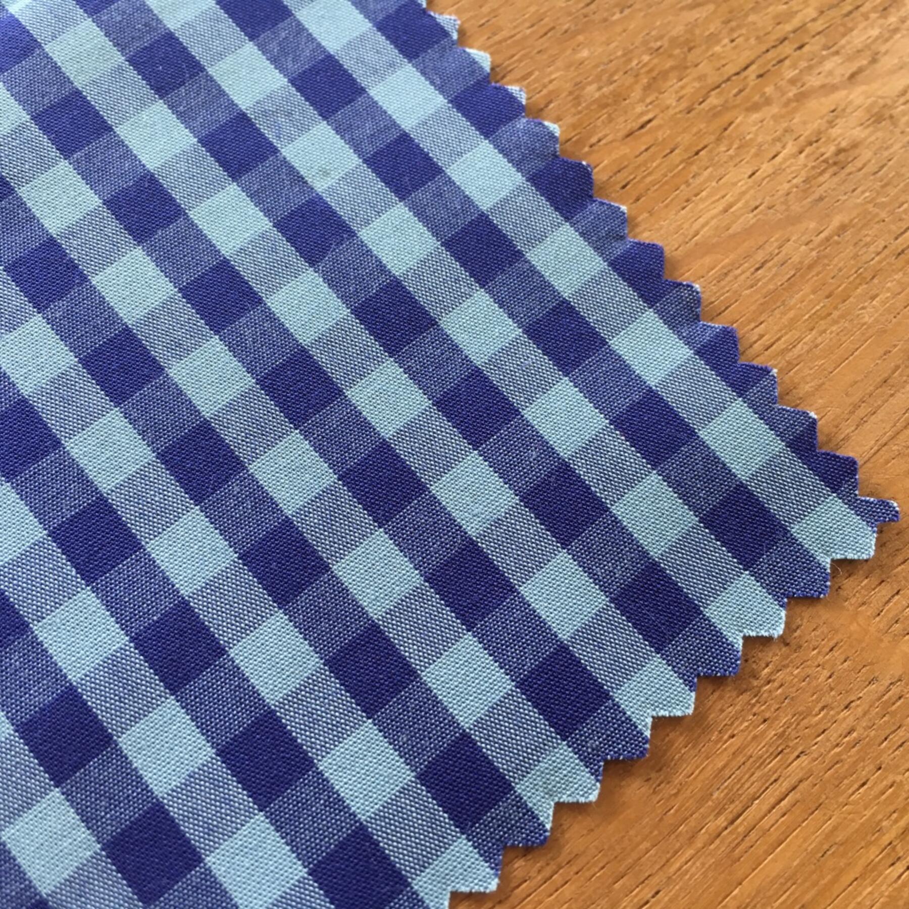 gustin #491 purple sky gingham