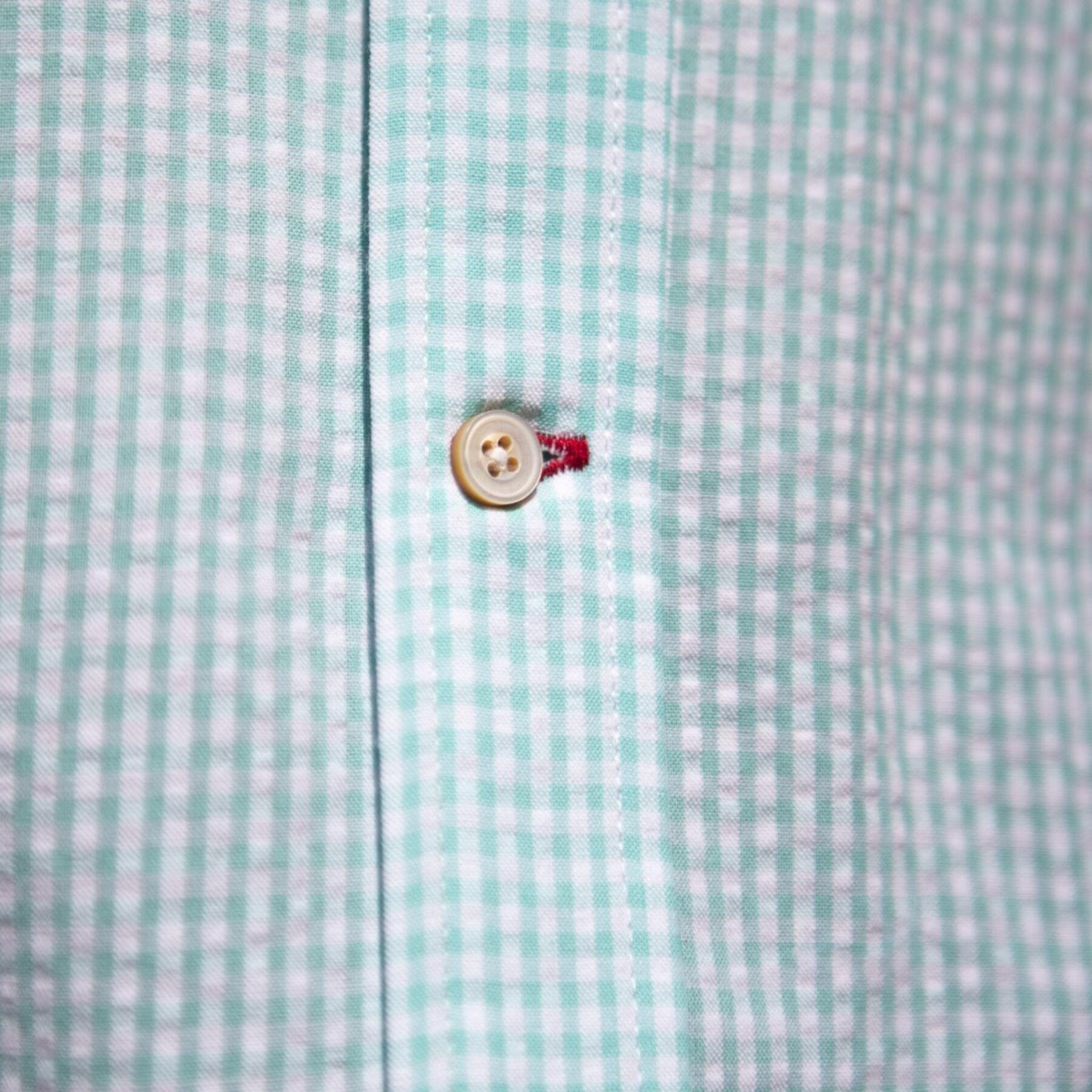 gustin #502 short sleeve mint gingham seersucker