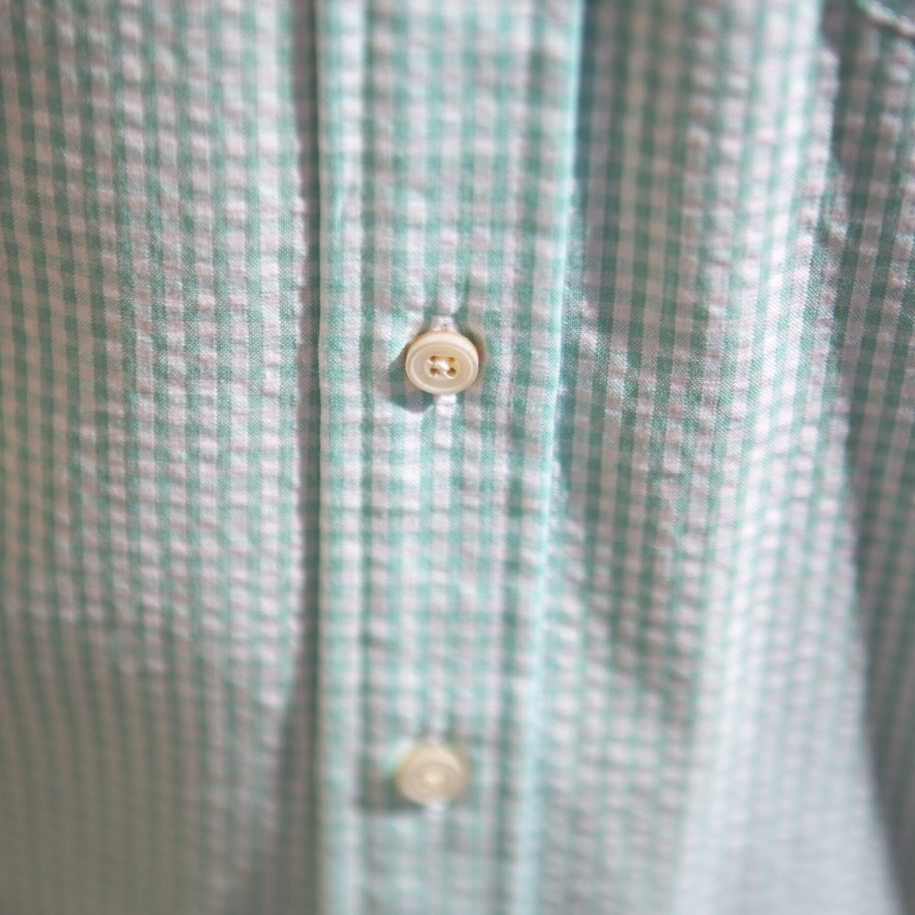 gustin #502 short sleeve mint gingham seersucker
