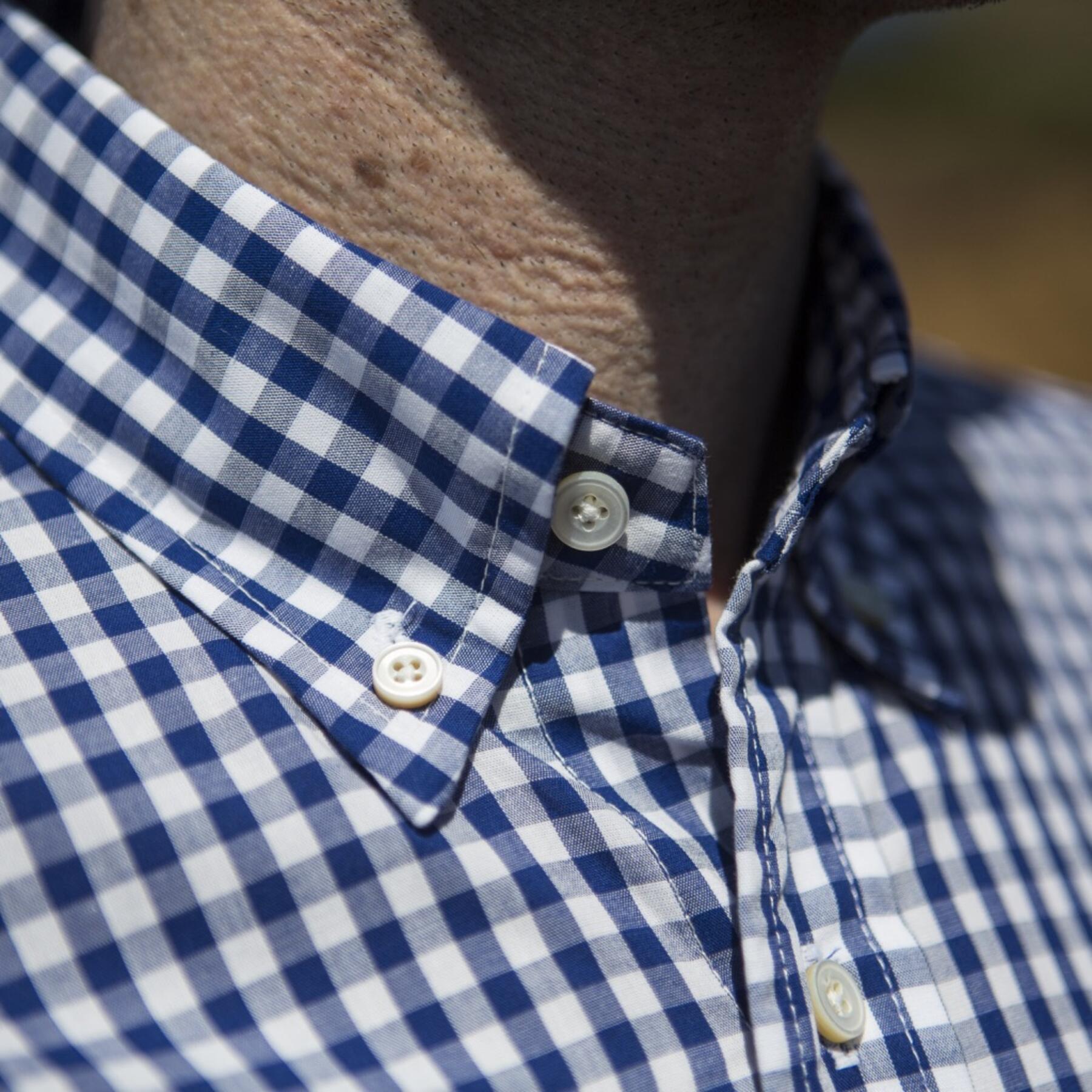 gustin #30 royal gingham