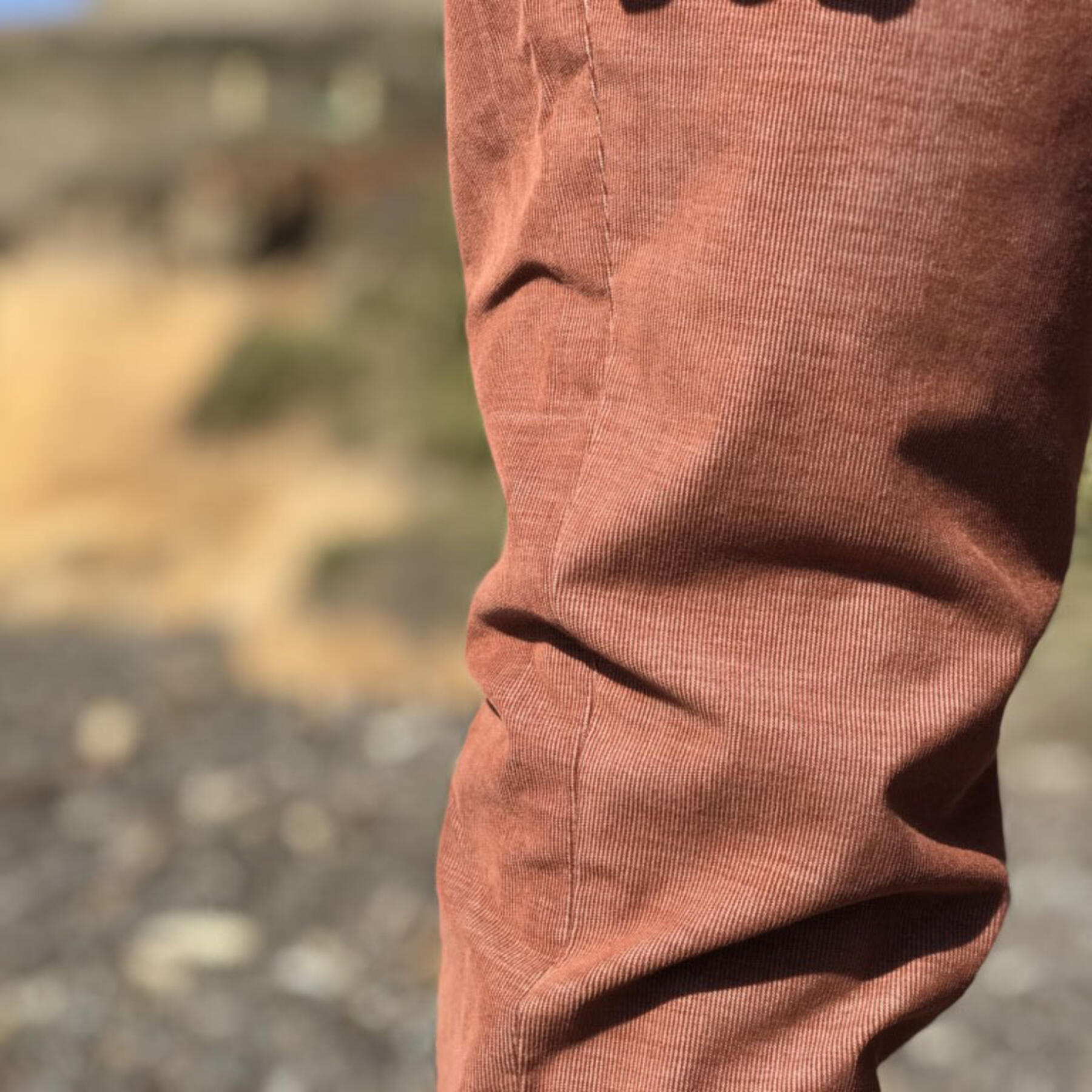 gustin #156 rust stretch corduroy chinos