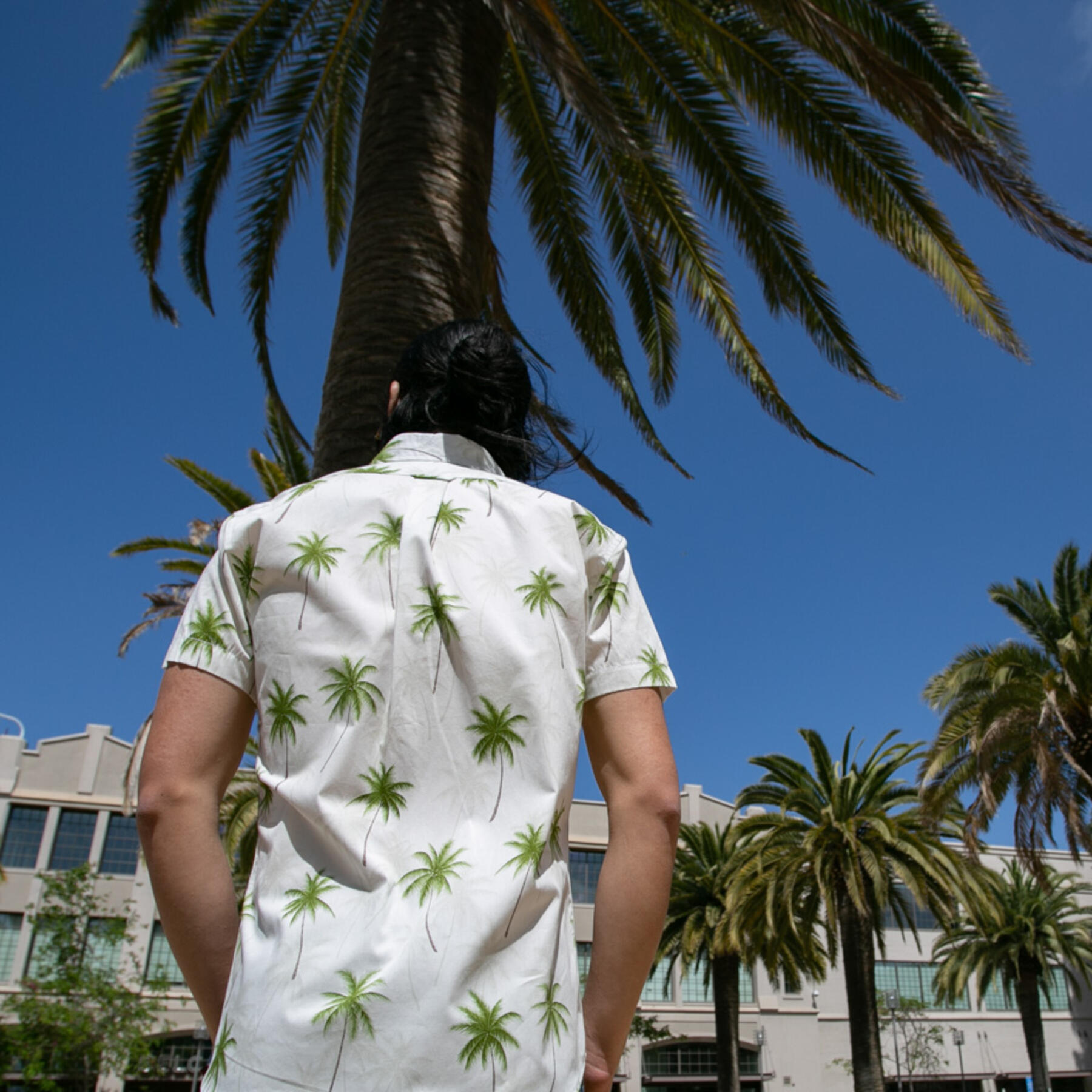 gustin #679 white palms short sleeve shirt