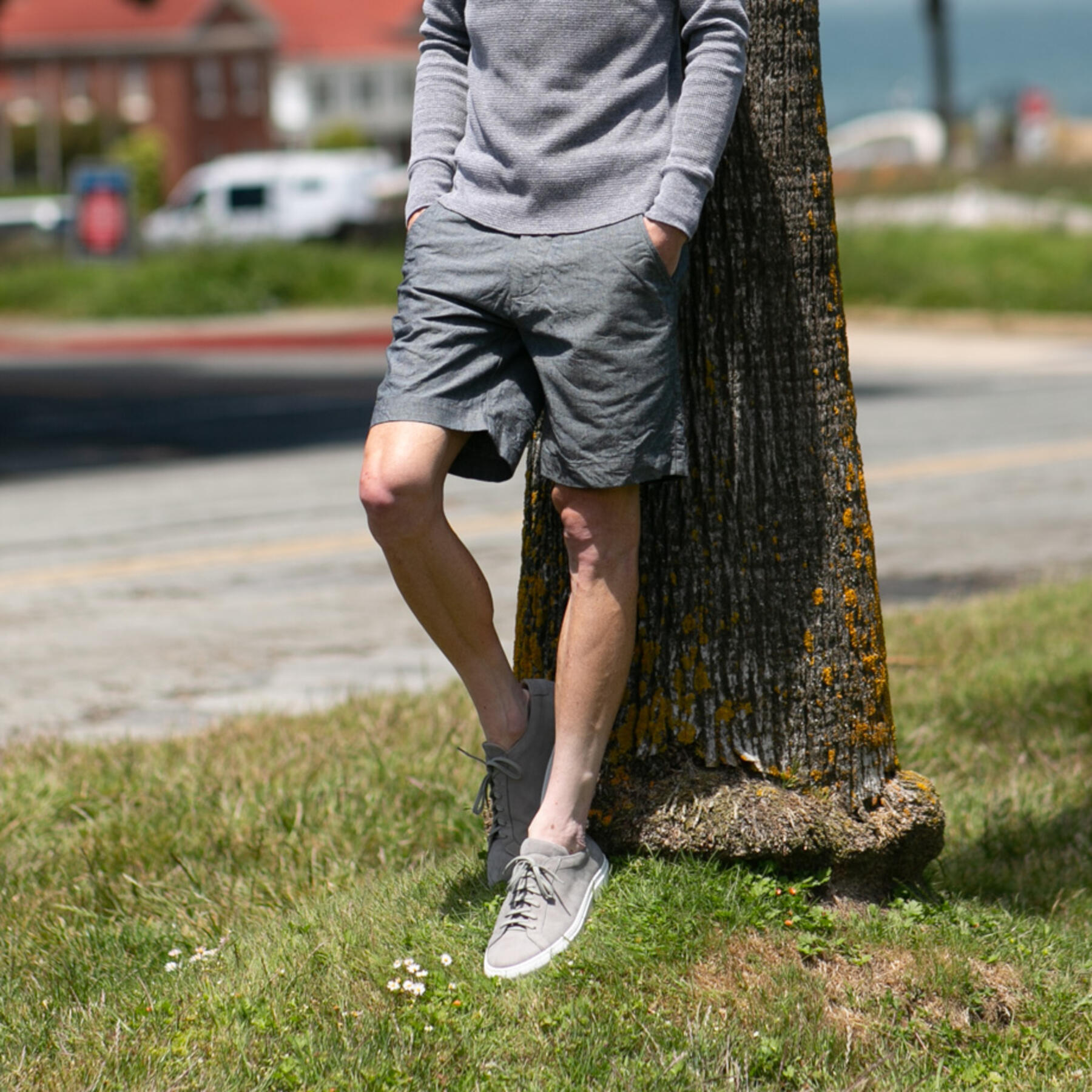 gustin #30 rainbow nep chino shorts