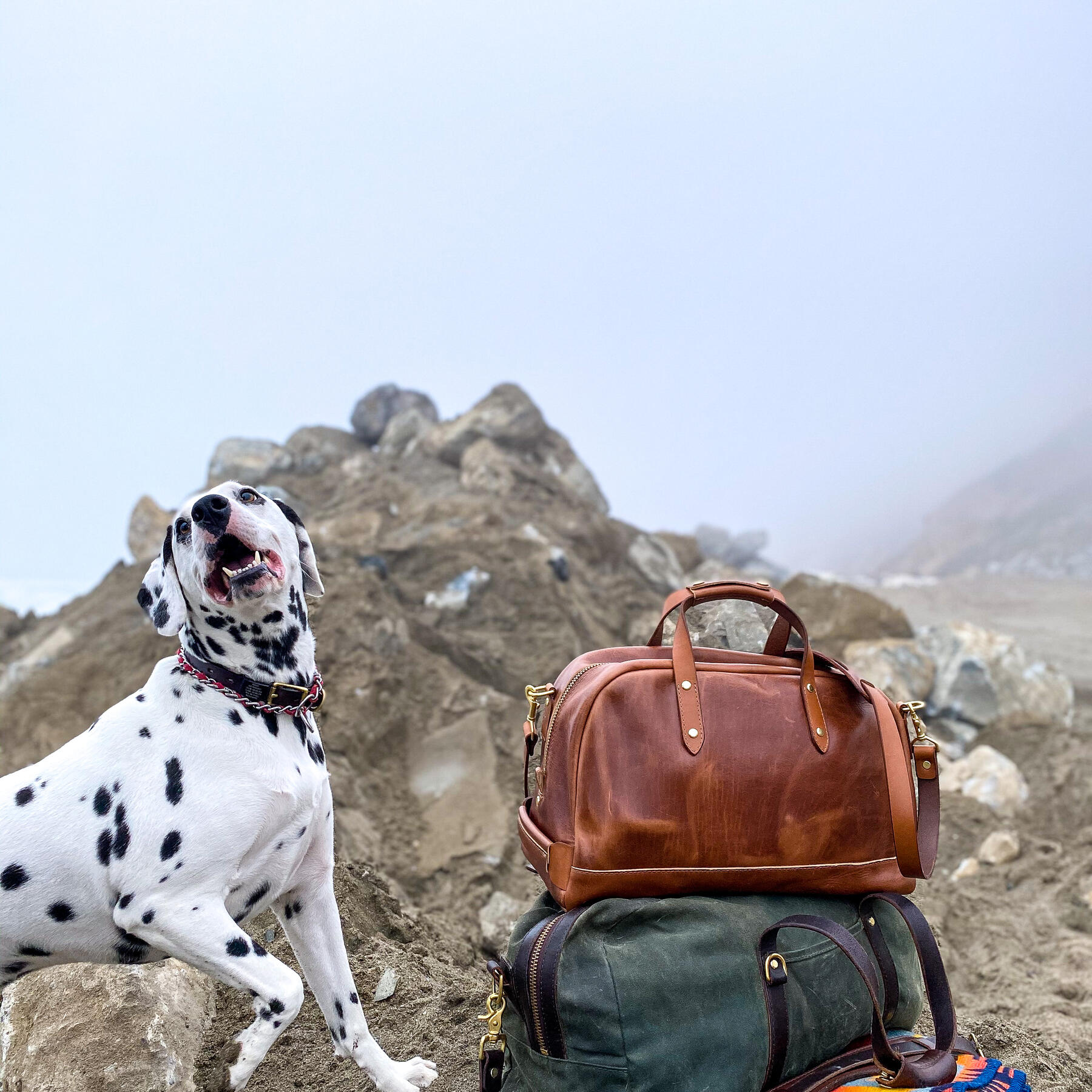 gustin the overnighter - horween cavalier whiskey