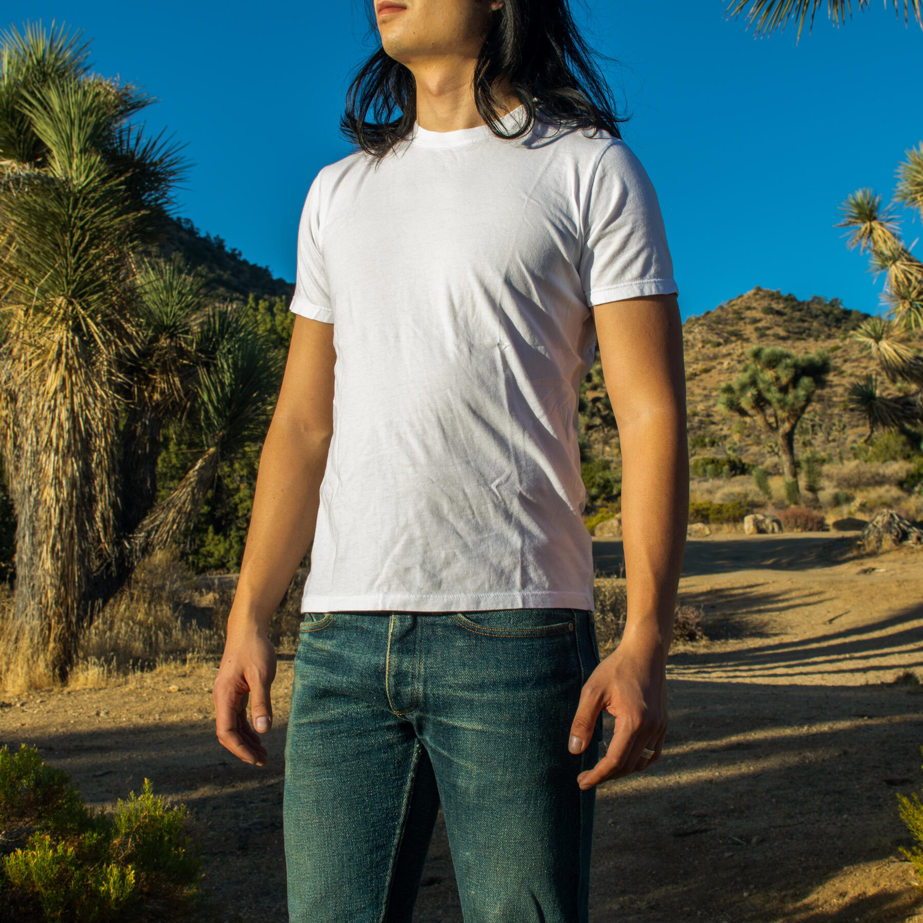 gustin usa organic cotton t-shirt white 2 pack