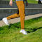 gustin sweatpants - saffron